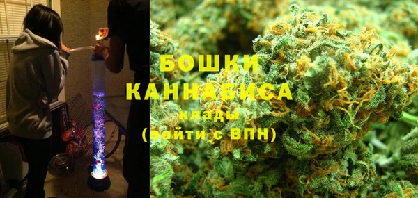 крисы Богородск