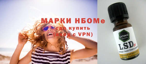 ГАЛЛЮЦИНОГЕННЫЕ ГРИБЫ Белокуриха