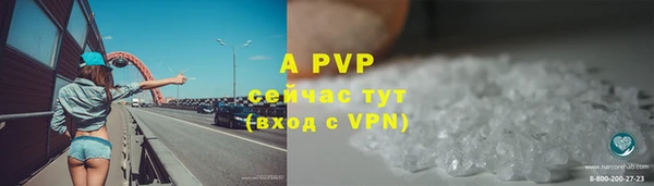 эйфоретик Богданович