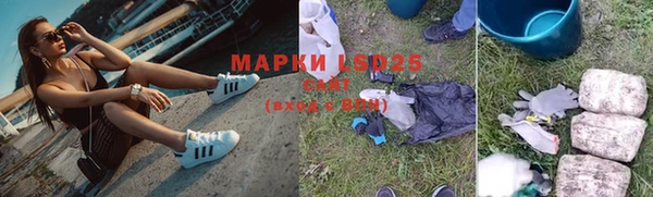 ГАЛЛЮЦИНОГЕННЫЕ ГРИБЫ Белокуриха