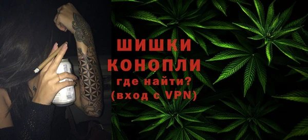 эйфоретик Богданович