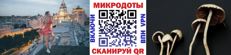 Псилоцибиновые грибы MAGIC MUSHROOMS Бородино